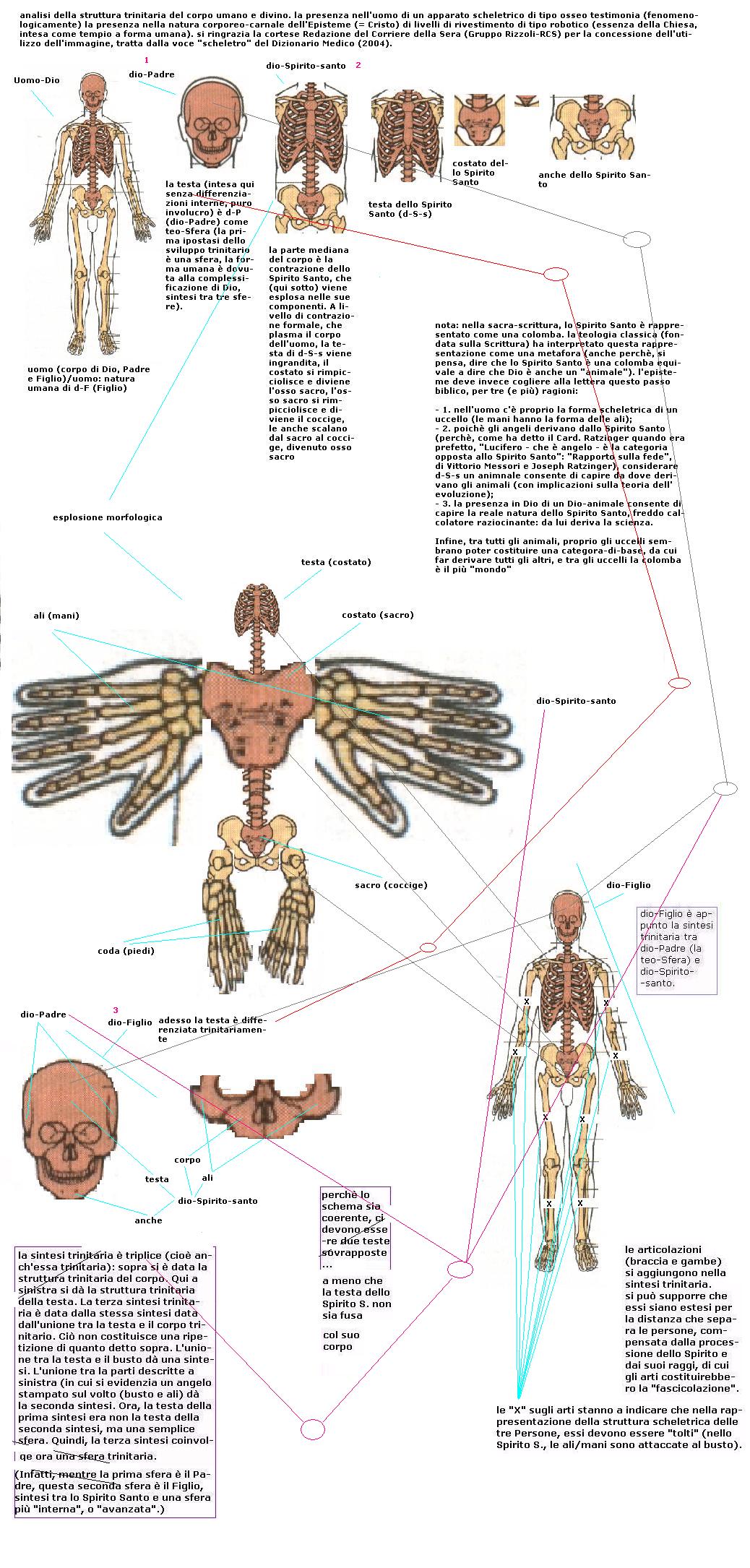 stcudschema