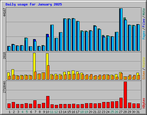 Daily usage for January 2025