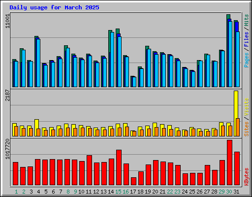 Daily usage for March 2025