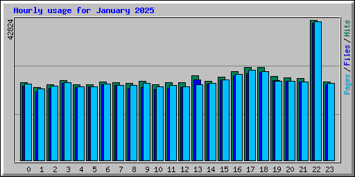 Hourly usage for January 2025