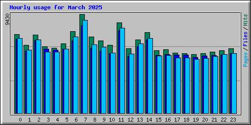 Hourly usage for March 2025