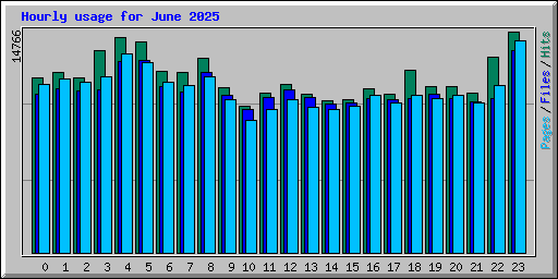Hourly usage for June 2025