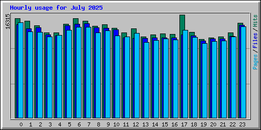 Hourly usage for July 2025
