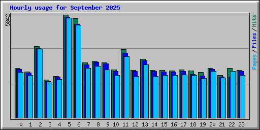 Hourly usage for September 2025