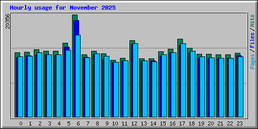 Hourly usage for November 2025