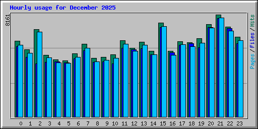 Hourly usage for December 2025
