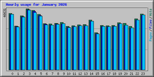 Hourly usage for January 2026
